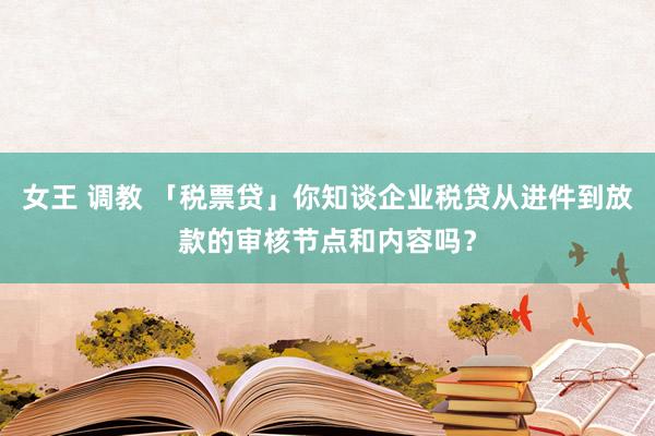 女王 调教 「税票贷」你知谈企业税贷从进件到放款的审核节点和内容吗？