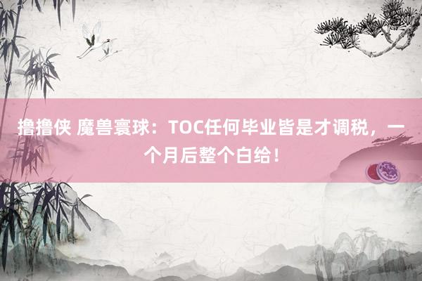 撸撸侠 魔兽寰球：TOC任何毕业皆是才调税，一个月后整个白给！