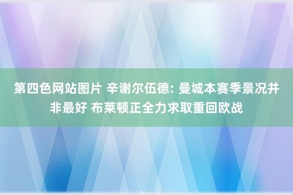 第四色网站图片 辛谢尔伍德: 曼城本赛季景况并非最好 布莱顿正全力求取重回欧战