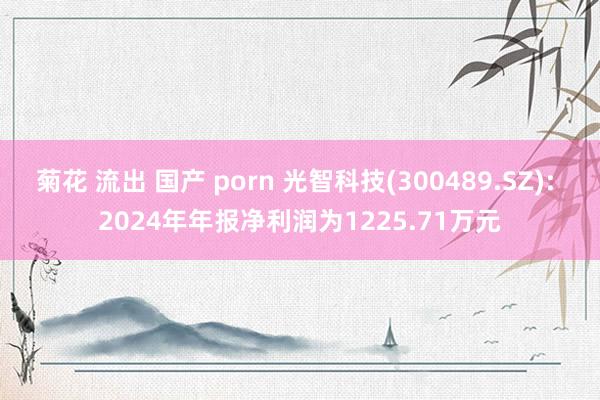 菊花 流出 国产 porn 光智科技(300489.SZ): 2024年年报净利润为1225.71万元