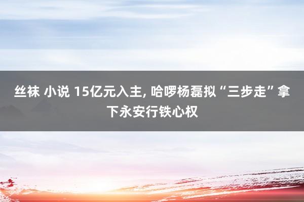 丝袜 小说 15亿元入主, 哈啰杨磊拟“三步走”拿下永安行铁心权