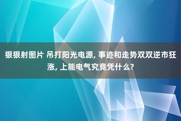 狠狠射图片 吊打阳光电源, 事迹和走势双双逆市狂涨, 上能电气究竟凭什么?