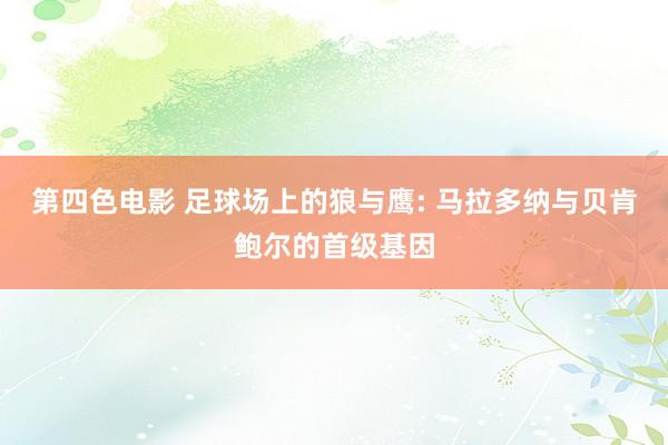 第四色电影 足球场上的狼与鹰: 马拉多纳与贝肯鲍尔的首级基因