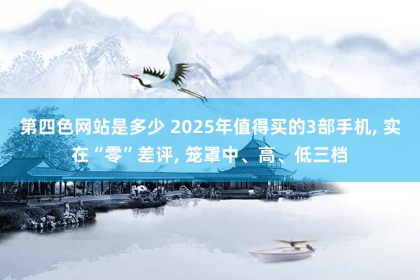 第四色网站是多少 2025年值得买的3部手机, 实在“零”差评, 笼罩中、高、低三档
