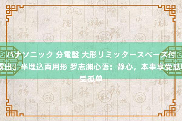 パナソニック 分電盤 大形リミッタースペース付 露出・半埋込両用形 罗志渊心语：静心，本事享受孤单