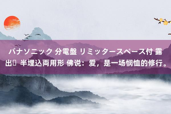 パナソニック 分電盤 リミッタースペース付 露出・半埋込両用形 佛说：爱，是一场悯恤的修行。